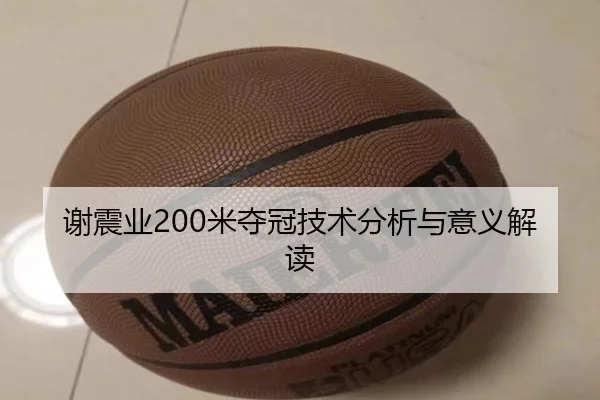 谢震业200米夺冠技术分析与意义解读